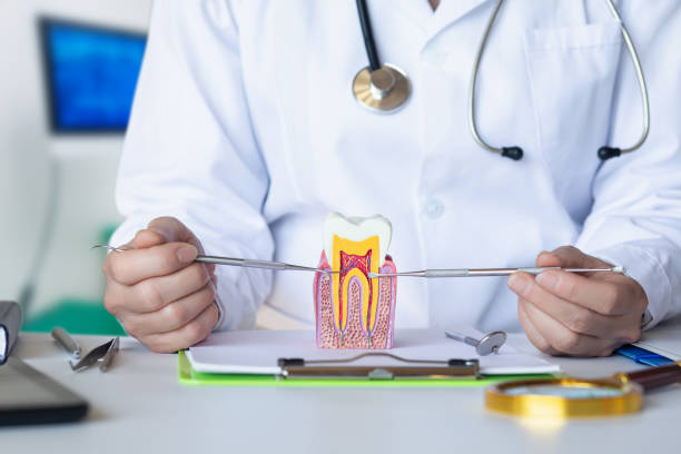 Best After-Hours Dental Care in Woodburn, IN